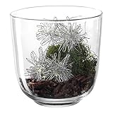 Hochwertiges Design – Leonardo steht für feines und innovatives Design. Das große Teelicht-Glas aus der Serie Milano überzeugt mit einer klassischen Optik und passt wunderbar zum Landhaus-Stil