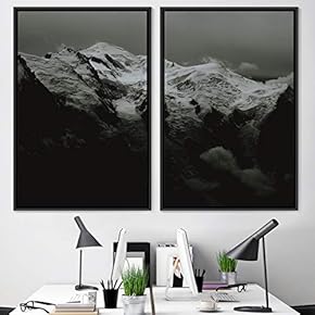 signwin 2 Piece Framed Canvas Wall Art Monochromatic...