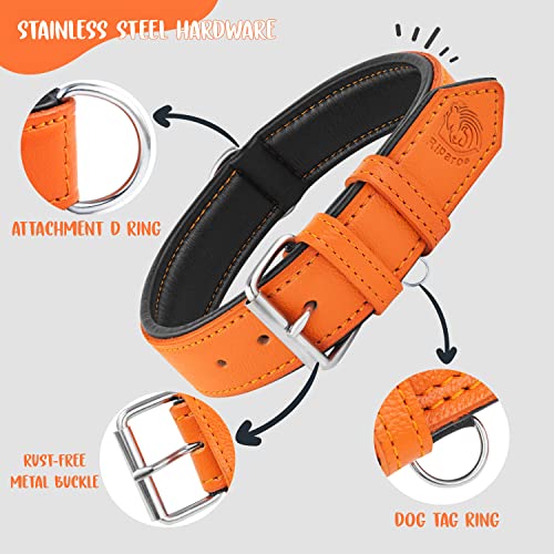 Riparo Echtes Leder Verstellbares Hundehalsband mit Zusätzlicher Verstärkung (L: 3,8CM Breit für 43,2CM - 53,3CM Hals, Orange)