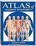 Atlas Of Human Anatomy (Quickstudy Books)