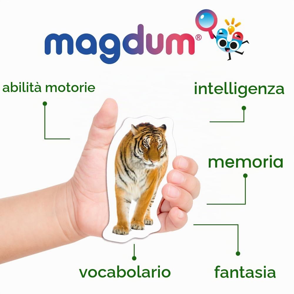 Magneti animali per bambini - 85 zoo, fattoria, frutta, verdura | Animali magnetici realistici per frigorifero e lavagna bianca in grande scatola – Giocattoli Montessori - Regalo per bambini