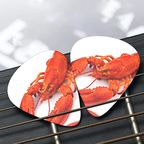 Médiators Guitare Lot de 12 Médiators Homard Pour Guitare Électrique Guitare Acoustique Diverses Guitares - Les Beatles, Paul McCartney, John Lennon, RIngo Starr, George Harrison Médiators Guitare Lot de 12 Médiators Homard Pour Guitare Électrique Guitare Acoustique Diverses Guitares – Image 7