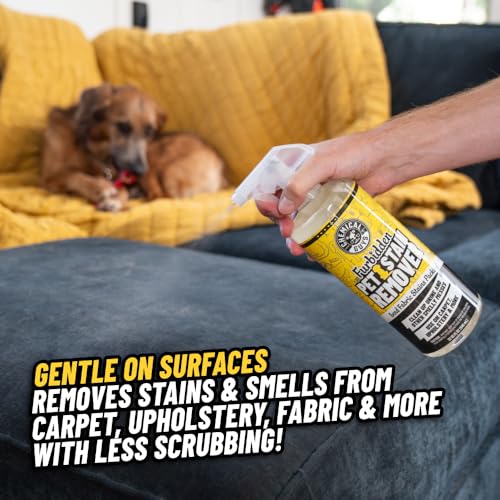 Chemical Guys Furbidden Pet Stain Cleaner