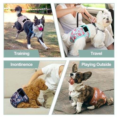 Image of Female Dog Diapers 5Pcs - Premium Reusable Diapers for Doggie in Heat - Highly Absorbent Dog Diapers Female for Pet Incontinence with Adjustable Snaps, Breenish Lily Flower, XXL