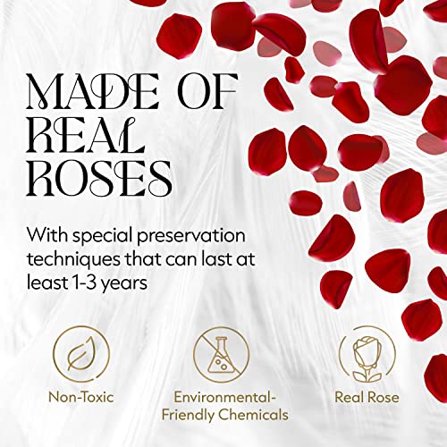 Glamour Boutique 12REDVELVET Forever Flower Gift Box: 12 Real Preserved Roses In Velvet White Box thumb #1