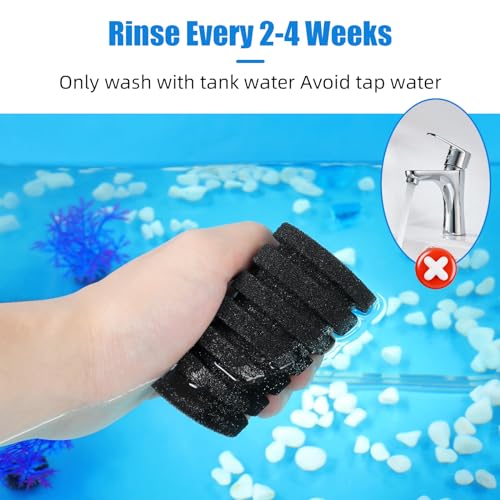Image of AQUANEAT 1 Pack Double Bio Sponge Filter, for Fry, Betta, Shrimp, Nano, Aquarium Fish Tank