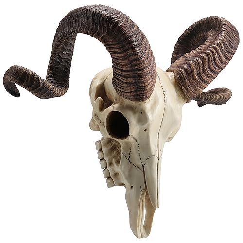 Escultura de pared de cuerno de carnero Corsican 27 cm