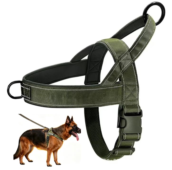 Pet No Pull Adjustable Dog Harness, Front Clip Adjustable Pet Vest, Breathable Soft Padded Material, Heavy-Duty D-Ring, Sturdy Grab Handle, for Small To Large Dogs (Green XL) — image 1