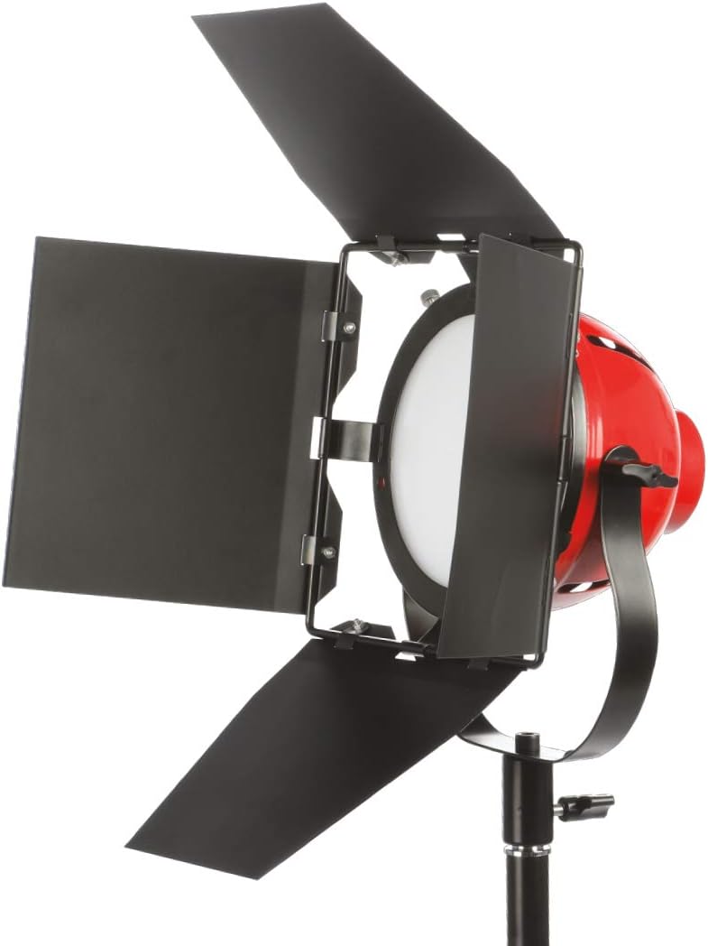 Smith-Victor LadyBug Daylight LED Light with 4-Way Barndoors