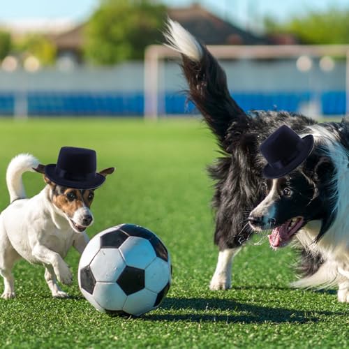Disfraz formal para perro con sombrero y moño negro miniatura 4