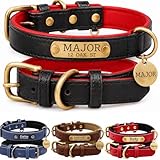 Leather Dog Collar Personalised and Leash Set, Personalized with Soft Padded Design Heavy Duty Featuring Custom Engraved Name Plate for Small Medium and Large Dogs
