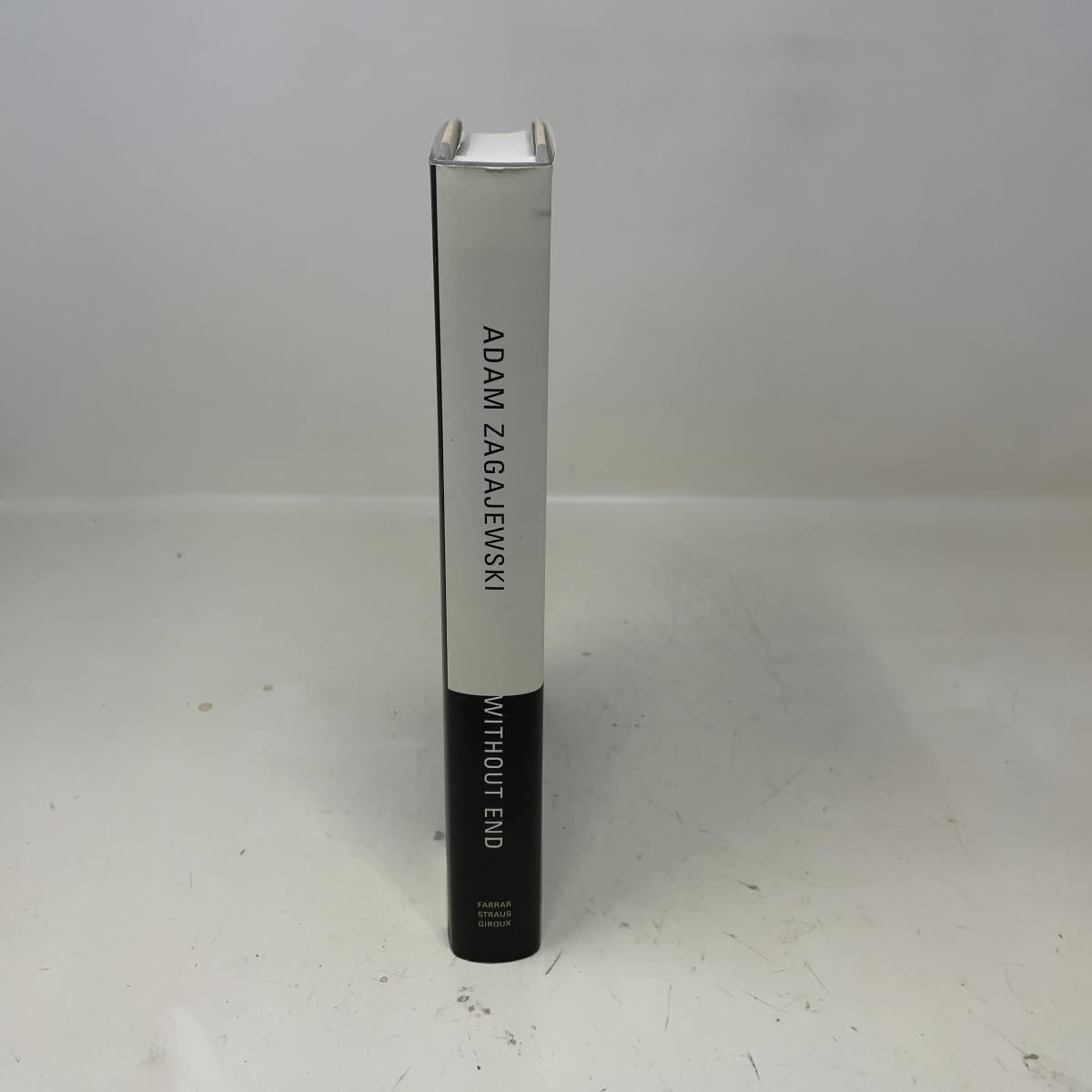 Without End Zagajewski, A - PT01