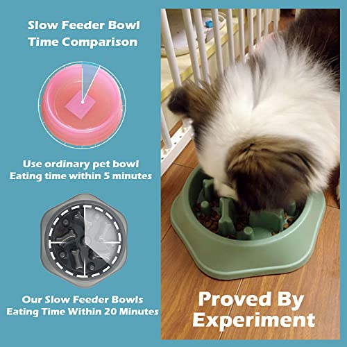 CAISHOW Slow Feeder Dog Bowl Anti Gulping Healthy Eating Interactive Bloat Stop Fun Alternative Non Slip Dog Slow Food… - Image 7
