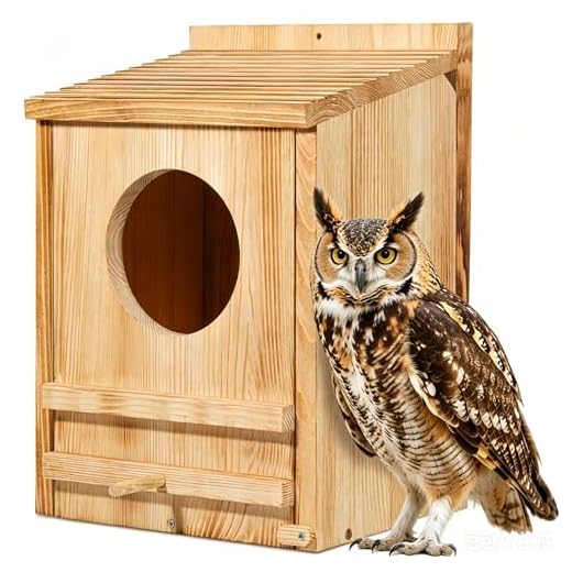 Large Handmade Barn Owl Nesting Box