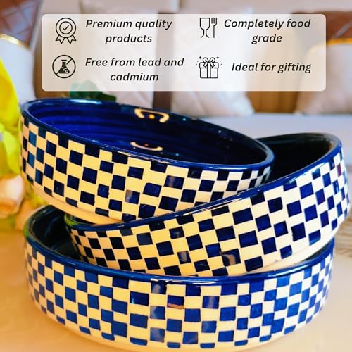 Image of Niyara Stoneware Handmade Ceramic Stylish Premium Serving Bowls /Salad Tray Microwave Dishwasher Safe (Blue and White Print Design)