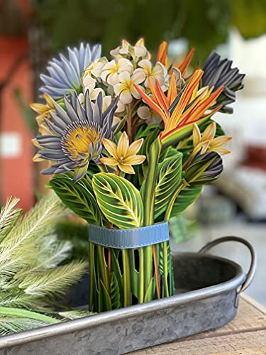 Freshcut Paper Pop Up Cards, Tropical Bloom, 12 Inch Life Sized Forever Flower Bouquet 3D Popup Greeting Cards With Note Card And Envelope - Birds Of Paradise & Lotus Blossom Flowers #TOP3
