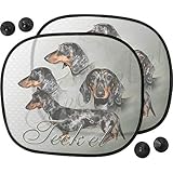 Pets-easy Pare Soleil Chien pour Voiture de Teckel arlequin
