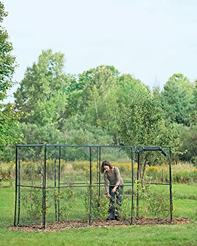 Gardener s Supply Company Crop Cage, 4 x 12 Plant Protection Tent