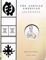 The African American Experience: Issues and Analysis 0840384971 Book Cover