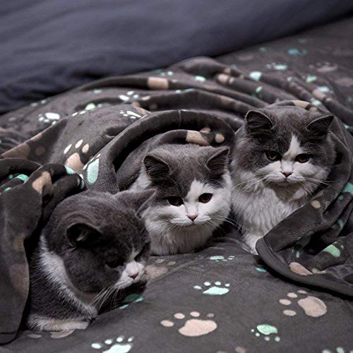 Allisandro Super Soft And Premium Fuzzy Flannel Fleece Pet Dog Blanket, The Cute Print Design Washable Fluffy Blanket For Puppy Cat Kitten Indoor Or Outdoor, Grey, 31 X 24 Inches #TOP6