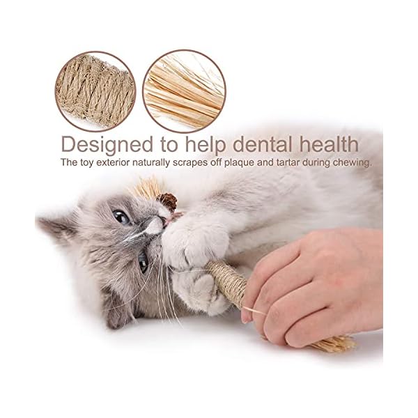 Dorakitten Katzenminzen Sticks, Katzenminze Spielzeug Matatabi Katzen Kauhölzer Silvervine Sticks für Katzen Zahnpflege & gegen Mundgeruch Natürlich Sicher Katzensticks Kausticks Set – Bild 3