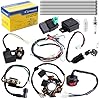 Complete Electrics Wiring Harness Coil Stator Solenoid Relay CDI Spark Plug for 4 Wheelers Stroke ATV 50cc 70cc 90cc 110cc 125cc Go Kart Pit Quad Dirt Buggy Bike Parts by OTOHANS AUTOMOTIVE