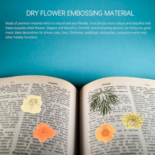 Kit de 40 flores secas prensadas naturales Lurrose miniatura 4