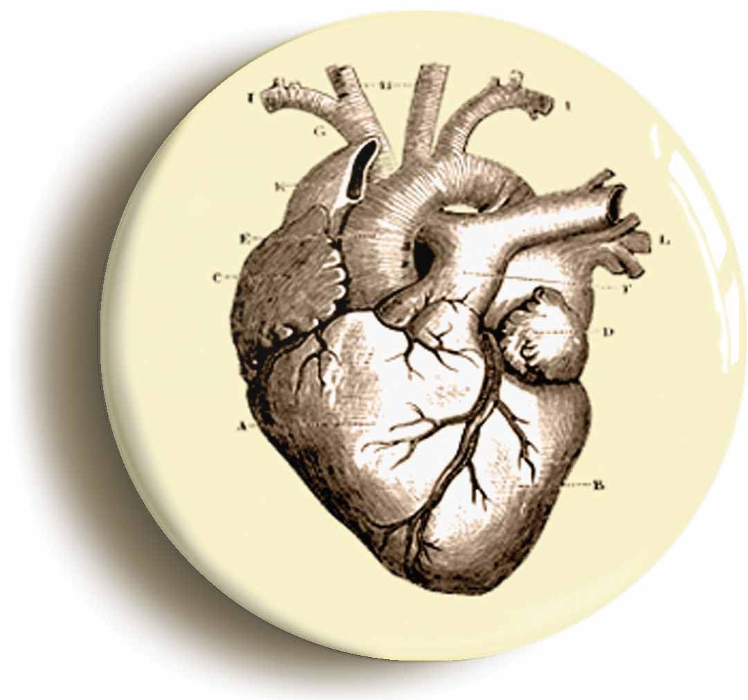 Human Heart Anatomy Diagram Fridge Magnet (Circular 2inch / 50mm Diameter)