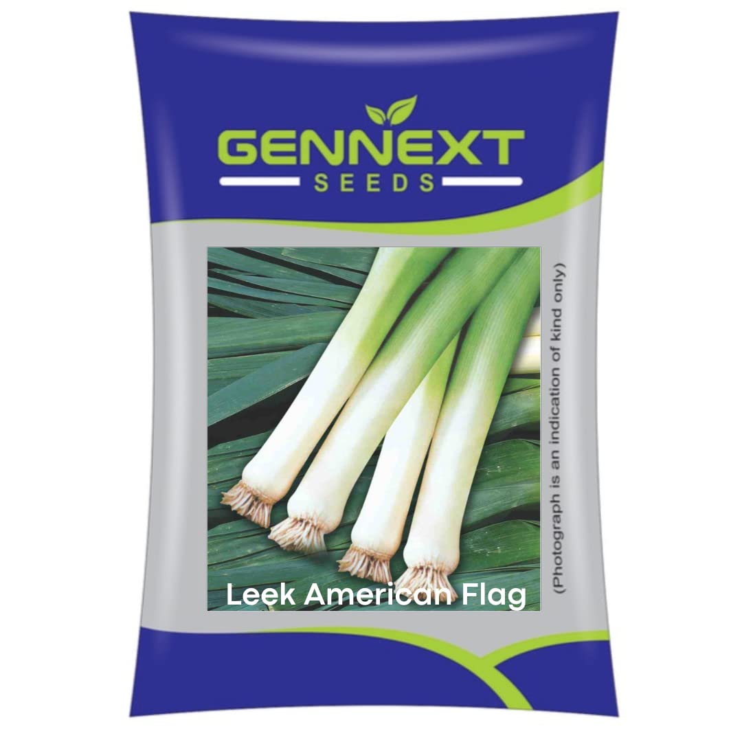 Leek American Flag seeds by Gennext