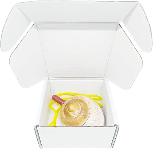 Miniatura 5 de Caja Blanca Pequeña 4 x 4 x 2 Pulgadas Paquete de 50 Cajas Reciclables de Cartón Corrugado para Envío de Regalos Almacenamiento Embalaje Empresarial