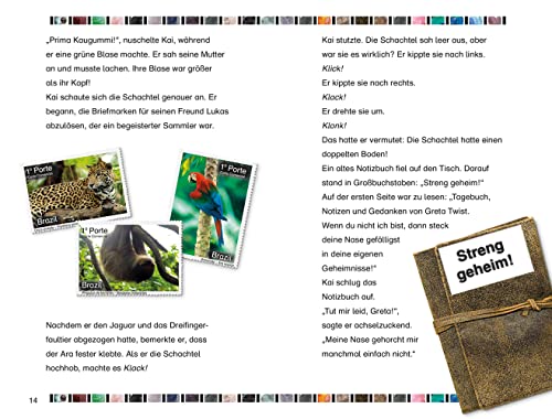 SUPERLESER! Kai und das Rätsel um die Steine: 3