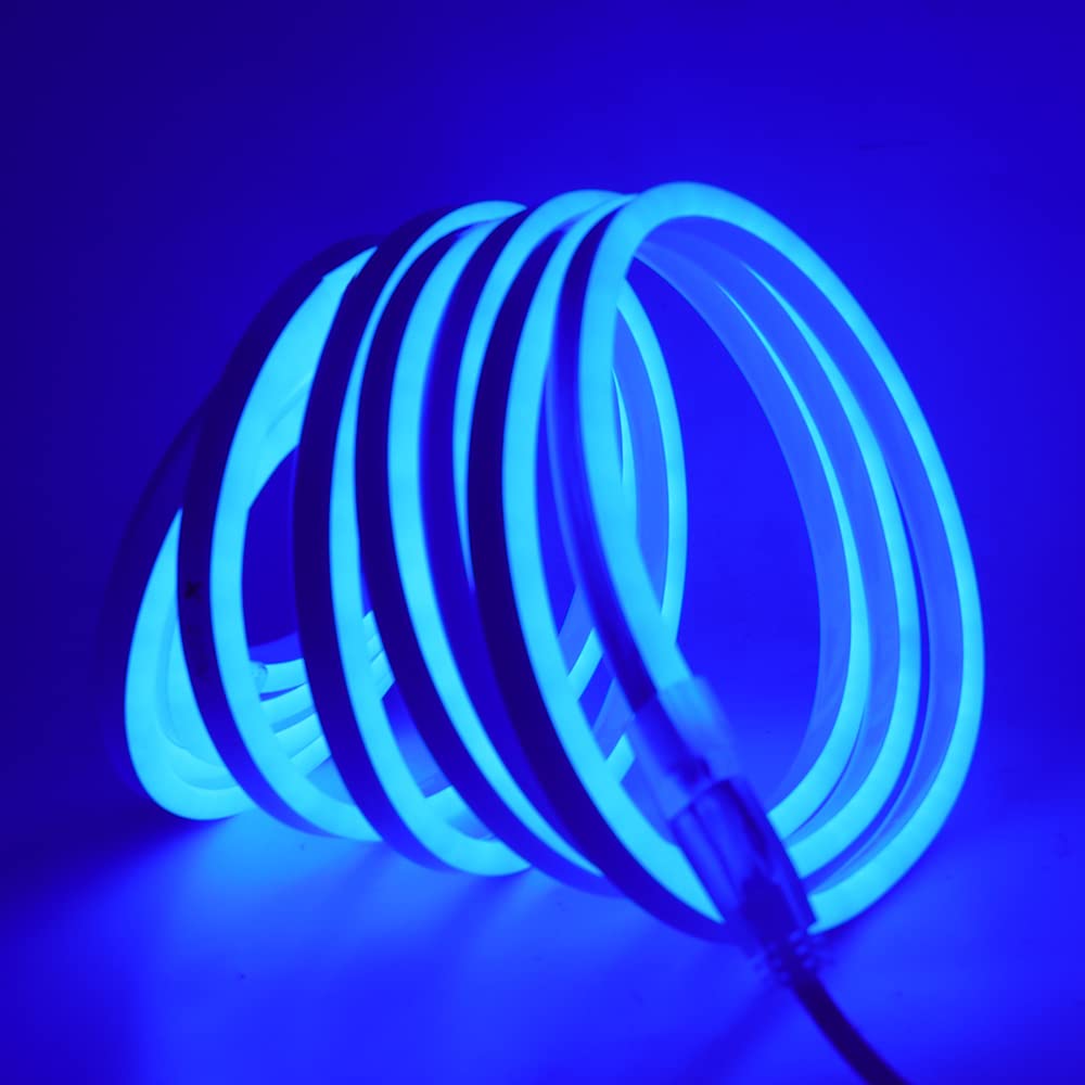 Striscia LED Neon 2835 Tubo LED Flessibile Impermeabile Luminosa 220V IP65 120 LED/M Corda Stringa Lampada con Alimentatore di rete e Dimmerazione manuale Controller,per Camera da Letto (8m, Blu)