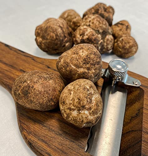 300g Tartufo Bianchetto Marzuolo Fresco 1°Scelta - Tartufi Freschi Tuber Borchii Vitt. - Fresh Truffle - Martelli Fabiano Tartufi - immagine 3
