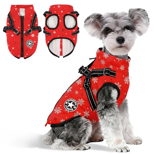 Anzentakai  ~y2025N~̓ozy ȕR[g n[lXt wJ   Ԕ g ybg L   ~ EȒP N ̕ xXg h h  WPbg [hO ^ ^ ^