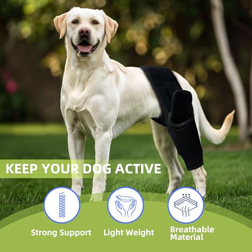 Image of Dog Hip Brace, Knee & Leg Support Brace for ACL Recovery, Ligament Injury - Breathable & Adjustable Dog Leg Brace for Senior Dogs, Post-Surgery Rehabilitation & Mobility Aid(Size S)