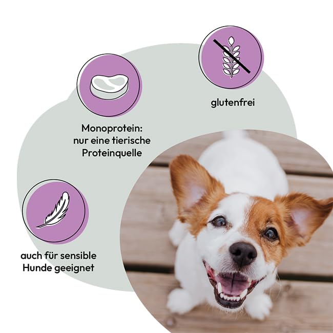 GRAU – das Original – Nassfutter für Hunde - Pute mit Vollkornreis, 6er Pack (6 x 800 g), Monoprotein, glutenfrei, für Erwachsene Hunde
