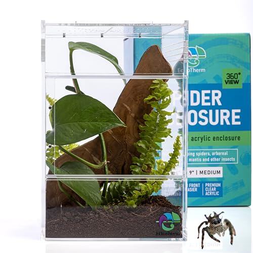 Springspinnengehege, Springspinnenwohnraum, Spinnen-Terrarium Kit, Springspinnengehege Zubehör...