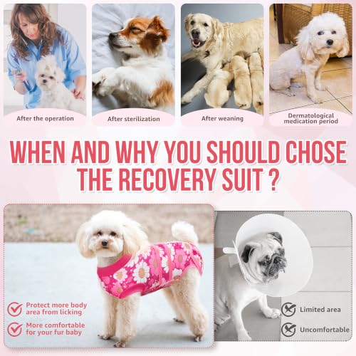 Image of Lukovee Recovery Suit for Dogs, Female Male Spay Neuter Post Surgery Suit | Zipper on Onesie,Soft Breathable, Adjustable Abdominal Wounds Prevent Licking, Cone E-Collar Alternative (Daisy, M)