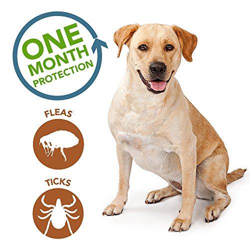 Vet's Best Flea And Tick Spot-On Drops | Topical Flea Treatment Drops For Dogs |Plant-Based Formula | 4 Month Supply For Large Dogs #TOP2
