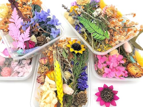 Image of ARTOOL Assorted Dry Flower Box for Resin Art, Decoration, Art & Craft DIY Resin Art Jewelry, Pack of 1 (Assorted Colour / Random Box (1)