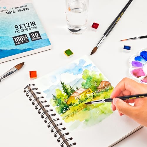 Image of Watercolor Brush Professional, 11Pcs Water Color Paint Brushes Set for Artists, Shapes with Fan, Needle Pointed, Angular, Dagger, Cats Tongue for Watercolor, Gouache, Ink Painting