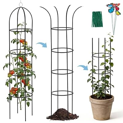 DEVISEFUN 100% Metal Trellis for Climbing Plants Outdoor 6.6ft 1PK,Garden Obelisk Trellis for Potted Plants Indoor with Ties and Butterflies,Plant Support for Clematis Tomato Cucumber Ivy Rose