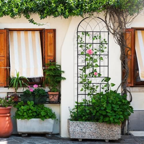 Metal Trellis Garden Trellis 2 Pack Metal Garden Trellis 81"×20" Climbing Rose Trellis Outdoor Trellis Trellis for Climbing Plants Trellis for Roses Decorative Trellis 2 Pack