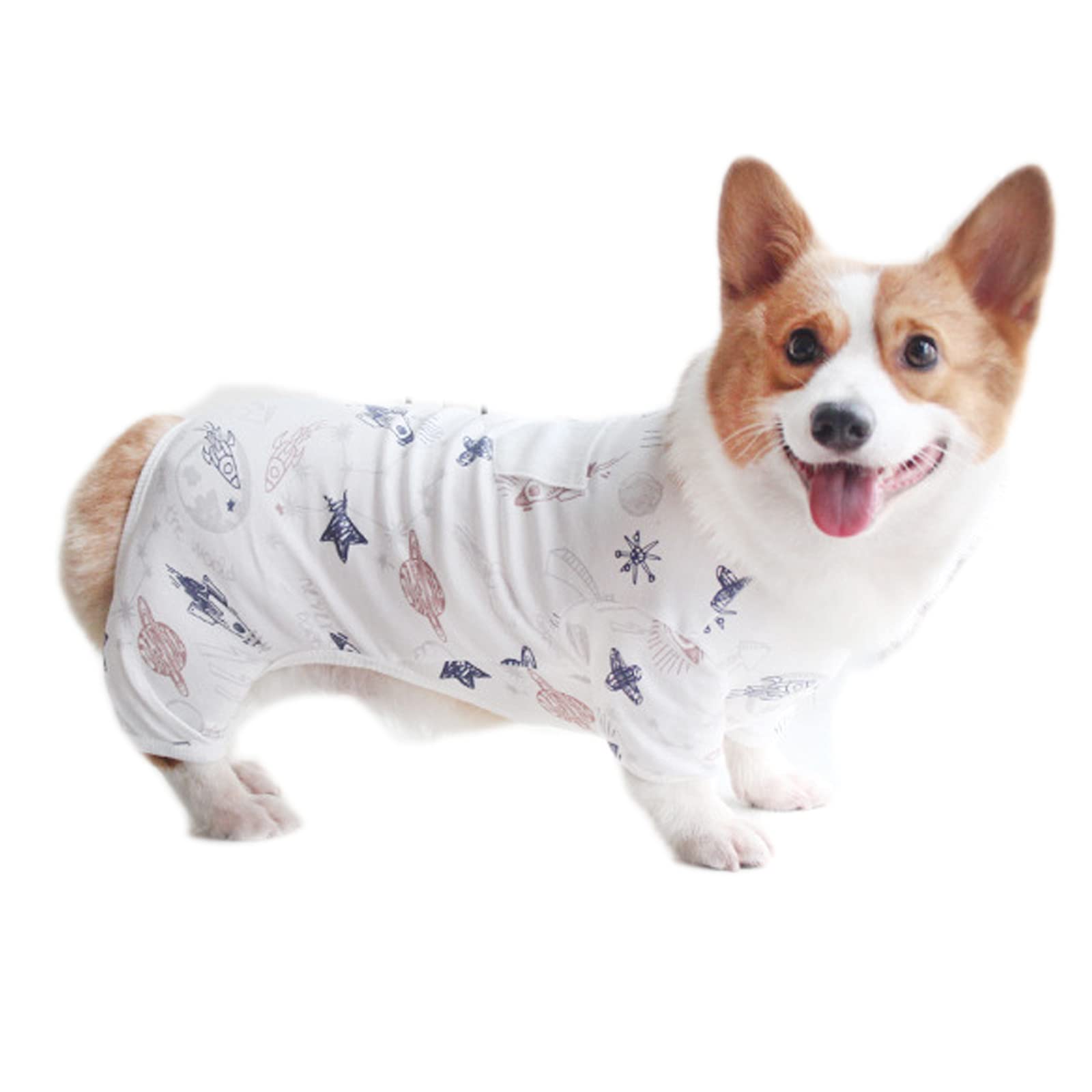 Corgi Disapproves of Hand-Me-Down Pajamas, image size:1600x1600
