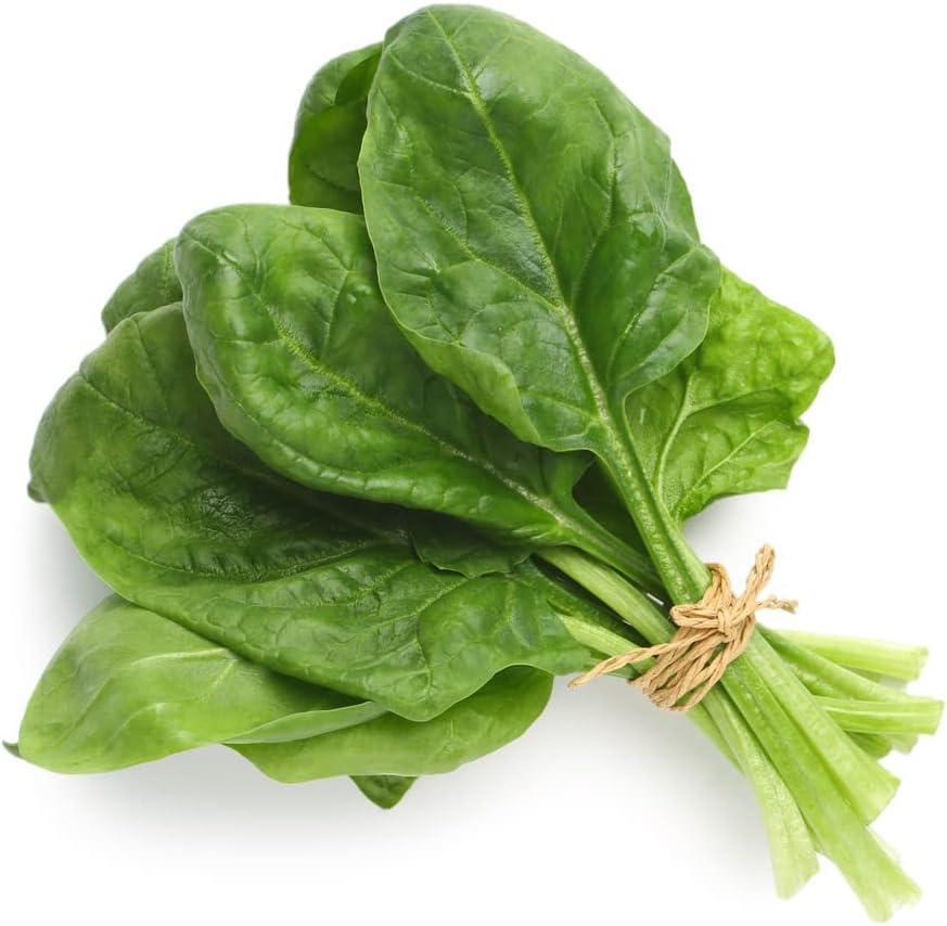 Vegetable Plants - Pick and Mix Selection - 12 x Full Spinach Plant Pack - Spinach Plants - Garden Ready + Ready to Plant - Premium Quality