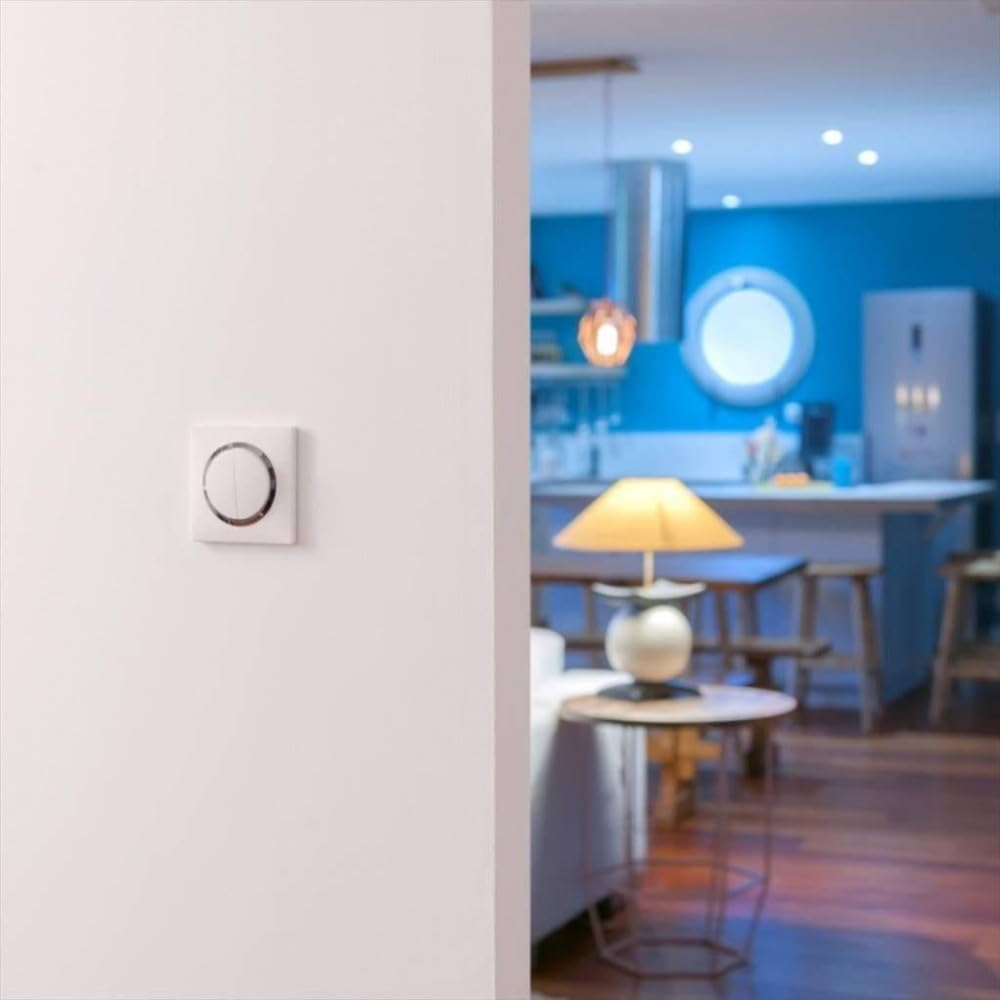 Legrand Bouton-Poussoir 6A Blanc Composable Connexion Rapide Sans Outil Compatible Plaques De Finition Personnalisables Design Moderne