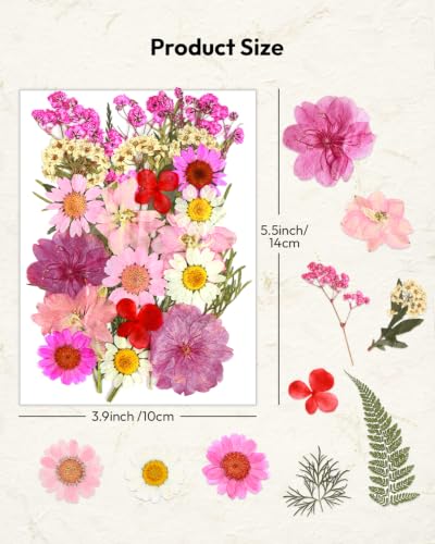 Image of Dried Flowers, Resiners 100Pcs Pressed Flowers for Craft | Real Natural Dried Flowers Dry Leaves Kit for DIY Making Crafts Resin Soap Candle Scrapbook Supplies Card Making Jewelry