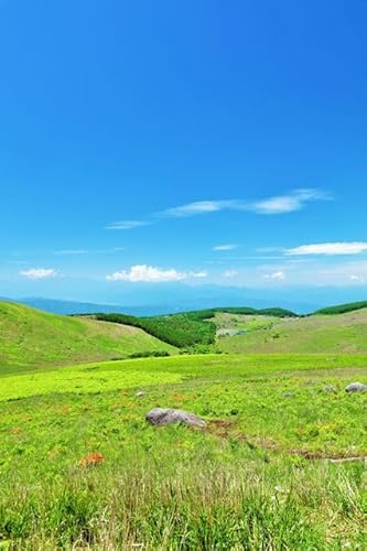 y{̕i|XgJ[hz쌧̖􍂌̂͂nKLU Be/YOSHIO IWASAWA