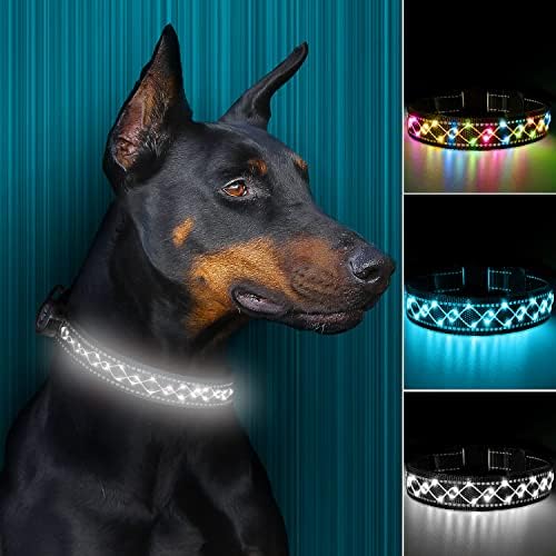amazon lighted dog collar
