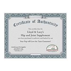 Lloyd & Lucy’s Hip and Joint Supplement for Dogs – Chewable Multivitamin with Glucosamine, Chondroitin, MSM and Vitamin C – Healthy Liver Flavored Treat Pets Will Love – 180 Ct Tablets